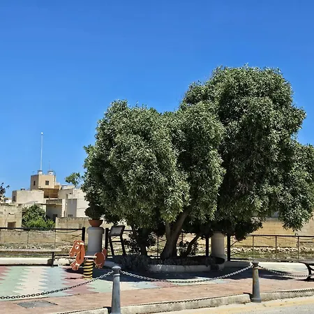 דירה Bertinas Luxury Village Santu Pietru